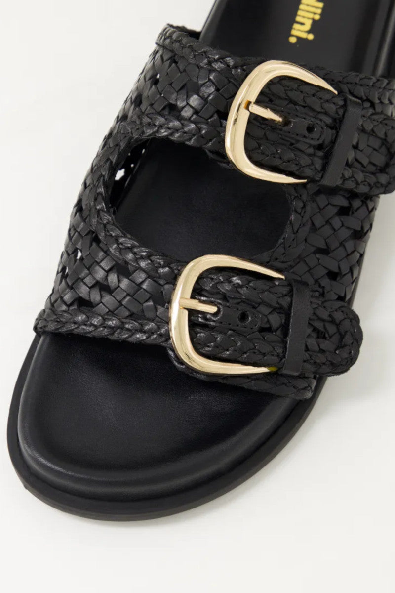 Mollini - Britmi Black