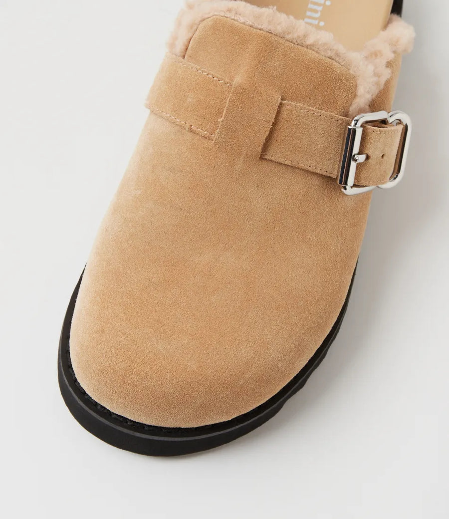 Mollini - Merchah Camel Blk Suede